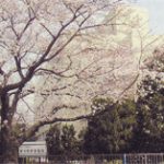 ことばQ&A：「様」と「殿」はどのように使い分けられているのでしょうか？