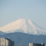 第38号(2009年1月1日発行)