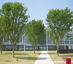 研究室から：「ことばに関する新聞記事画像データベース」