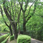 尾崎喜光先生