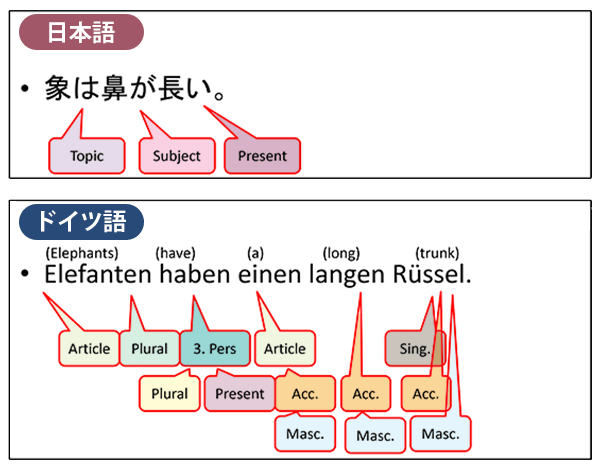 日本語の「象は鼻が長い」とドイツ語の「Elefanten haben einen langen Rüssel」の文法を比較した図