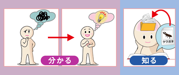 分かると知るの違い