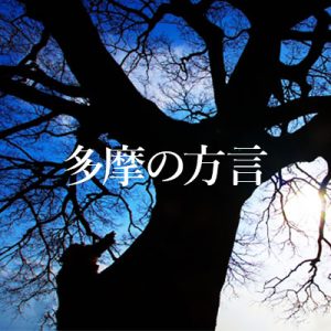 講演会「多摩の方言」（三井はるみ 助教）