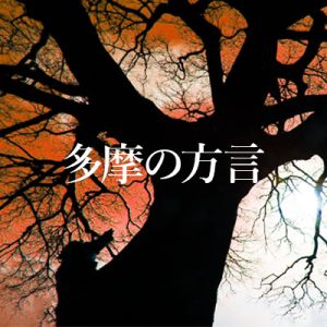 講演会「多摩の方言 ―立川と多摩地域の方言の特徴―」が開催されました