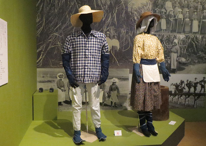 ハワイ展 プランテーションでの労働と暮らし