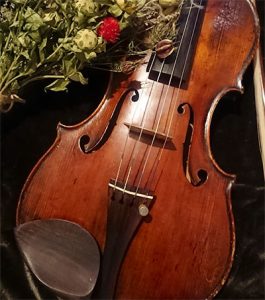 バイオリンと花