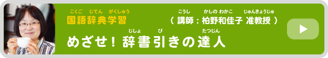 めざせ!辞書引きの達人を見る