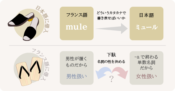 フランス語と日本語、単語の借入の違い
