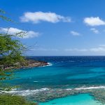 周防大島町にて「特別展示：周防大島とハワイ～移民たちの足跡」が開催されています