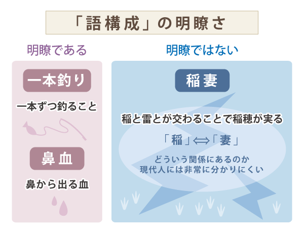 語構成の明瞭さ