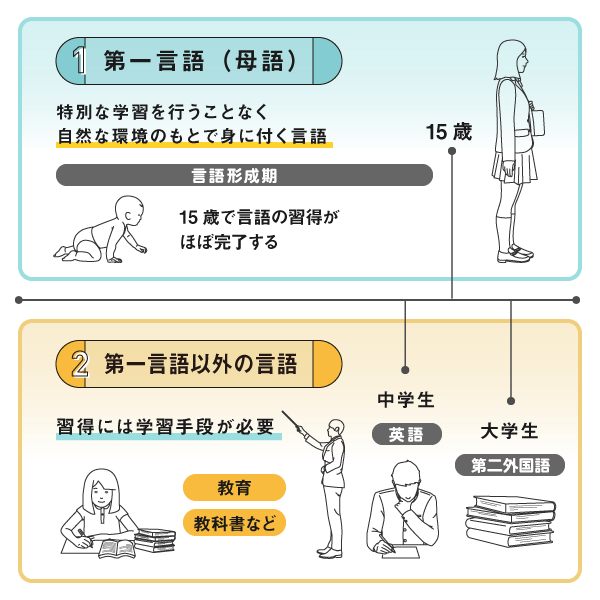 第一言語（母語）は特別な学習を行うことなく自然な環境のもとで身につく言語。第一言語以外の習得には学習手段が必要（教育、教科書など）