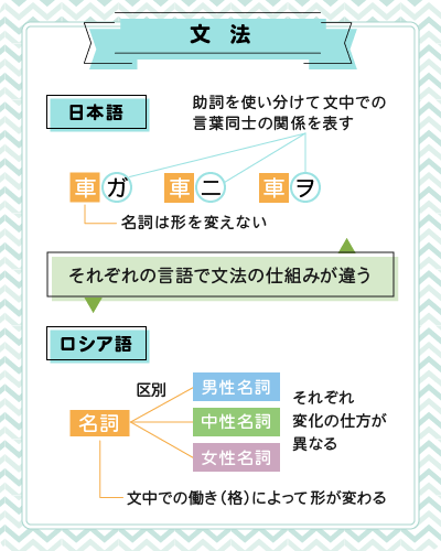日本語とロシア語の文法。それぞれの言語で文法の仕組みが違う。