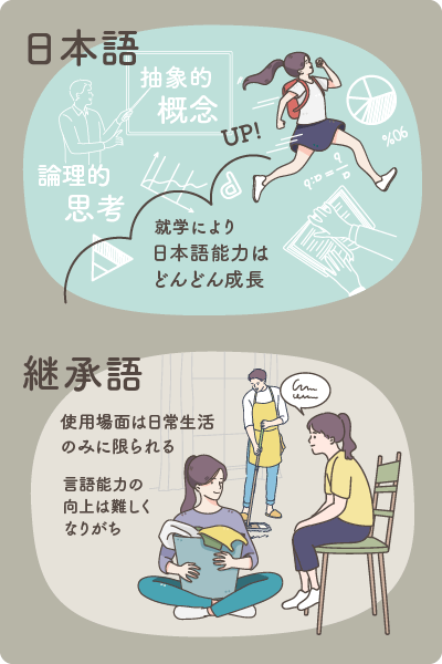 こどもの就学後における日本語と継承語の変化（日本語能力は成長し、使用場面が日常生活のみに限られる継承語の言語能力向上は難しくなりがち）