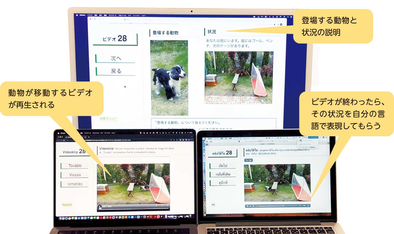 対照言語学のビデオ発話実験の1シーン、言語ごとに3台のパソコン画面が写っている。動物が移動するビデオが再生される。ビデオが終わったら、その状況を自分の言語で表現してもらう。