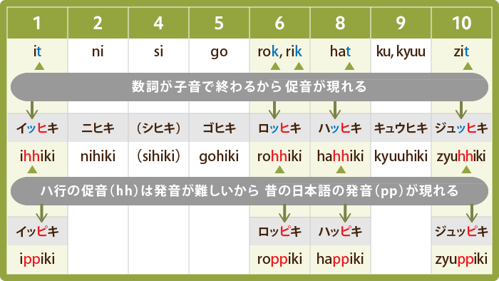 1,2,4,5,6,8,9,10の数に匹を付けた時にどう変化したのかを表した表。数詞が子音で終わるから促音が表れるが ハ行の促音(hh)は発音が難しいから昔の日本語の発音(pp)が現れる。