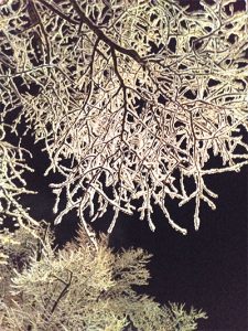 幻想的な夜の樹氷の写真
