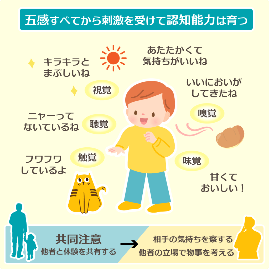 五感すべてから刺激を受けて認知能力は育つことを表現したイラスト
